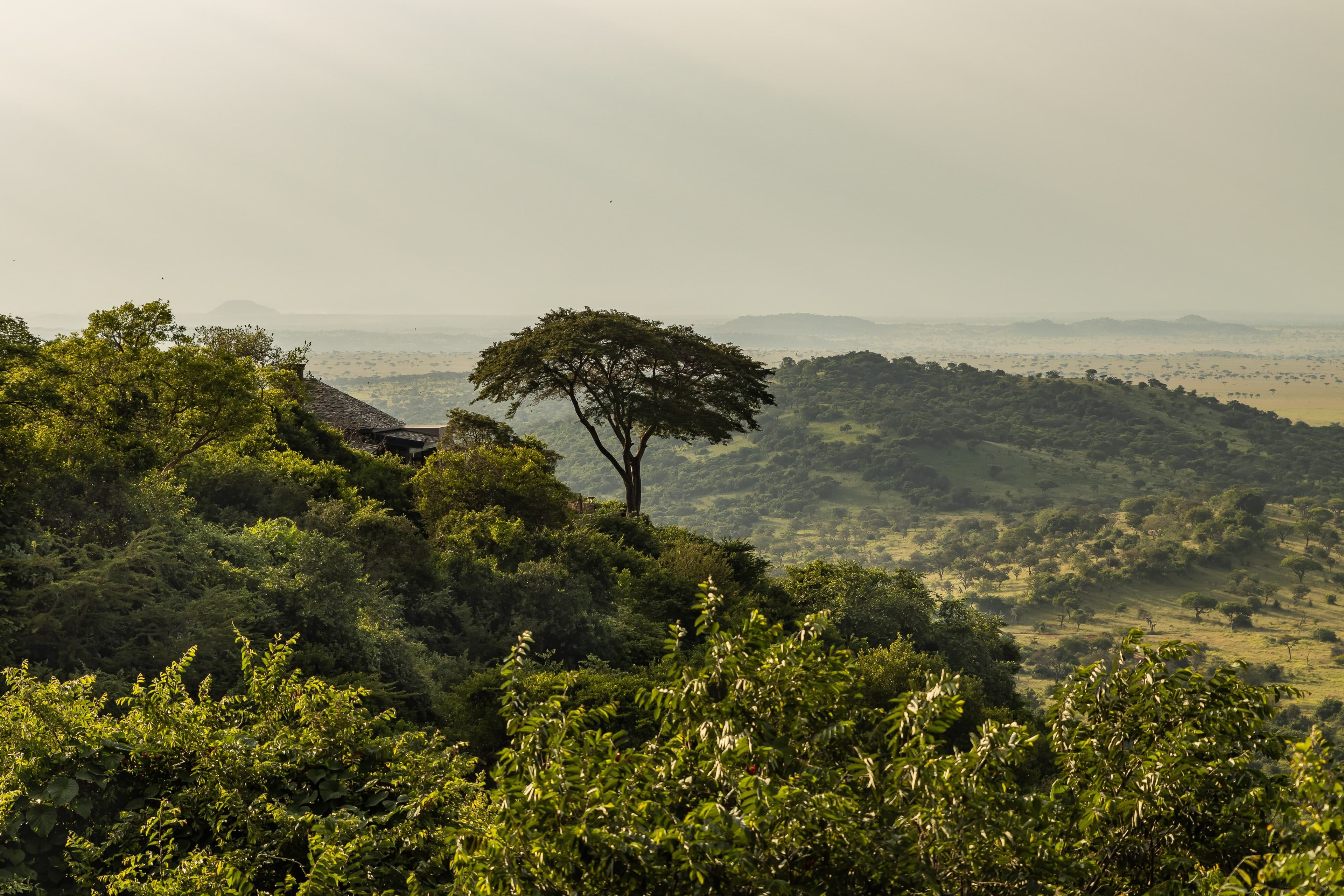 Panoramic view from Sasakwa