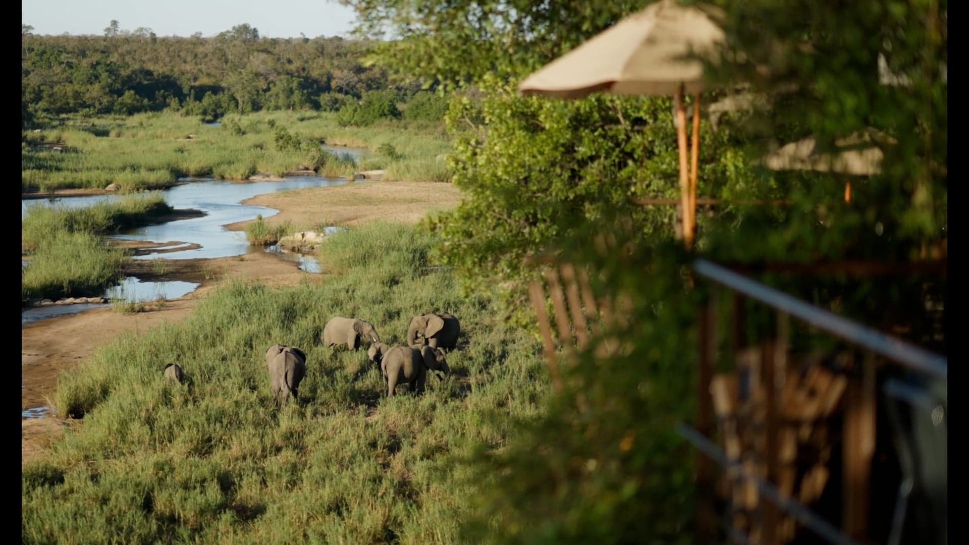 Sights and Sounds of Singita