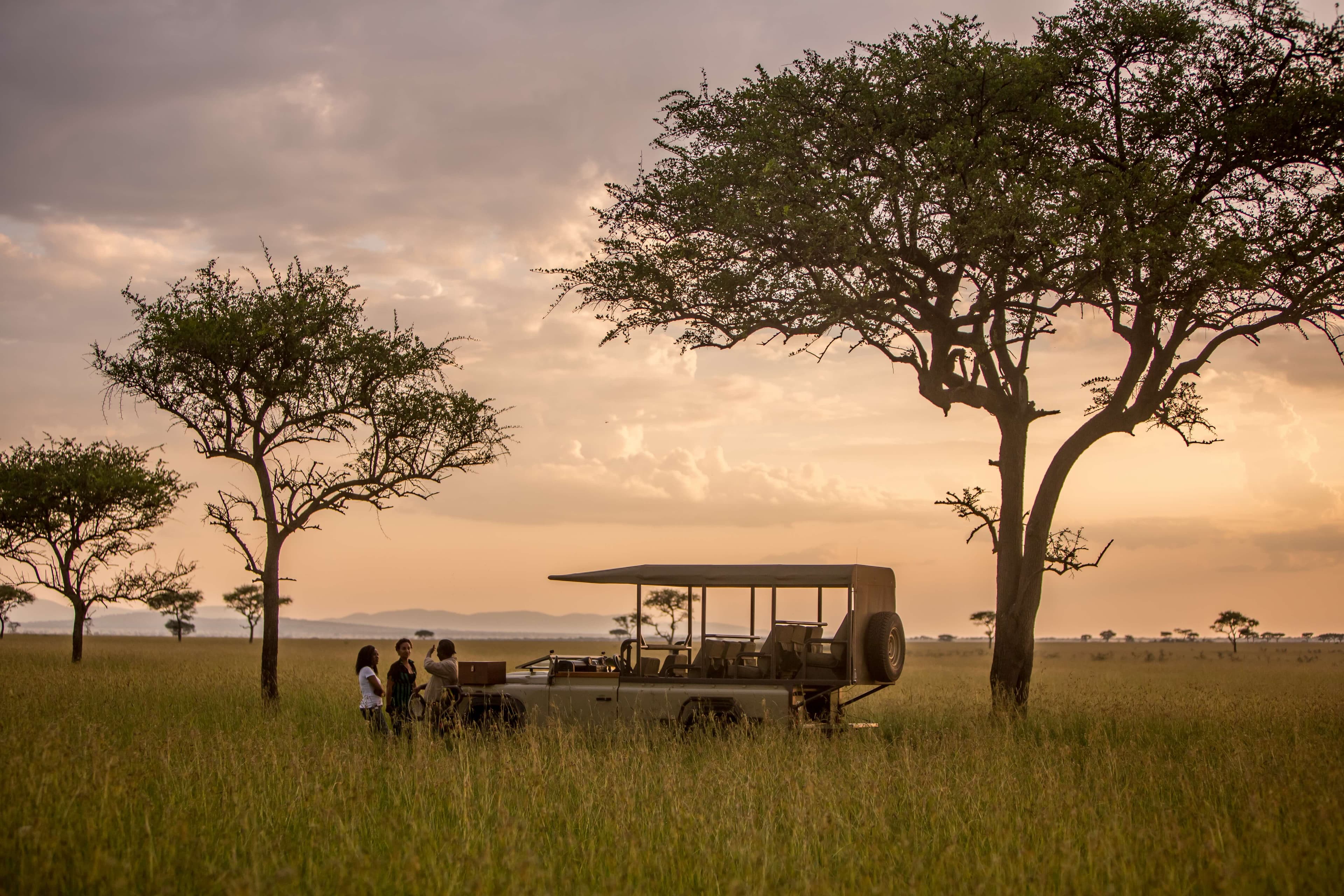 Game drive at sunset