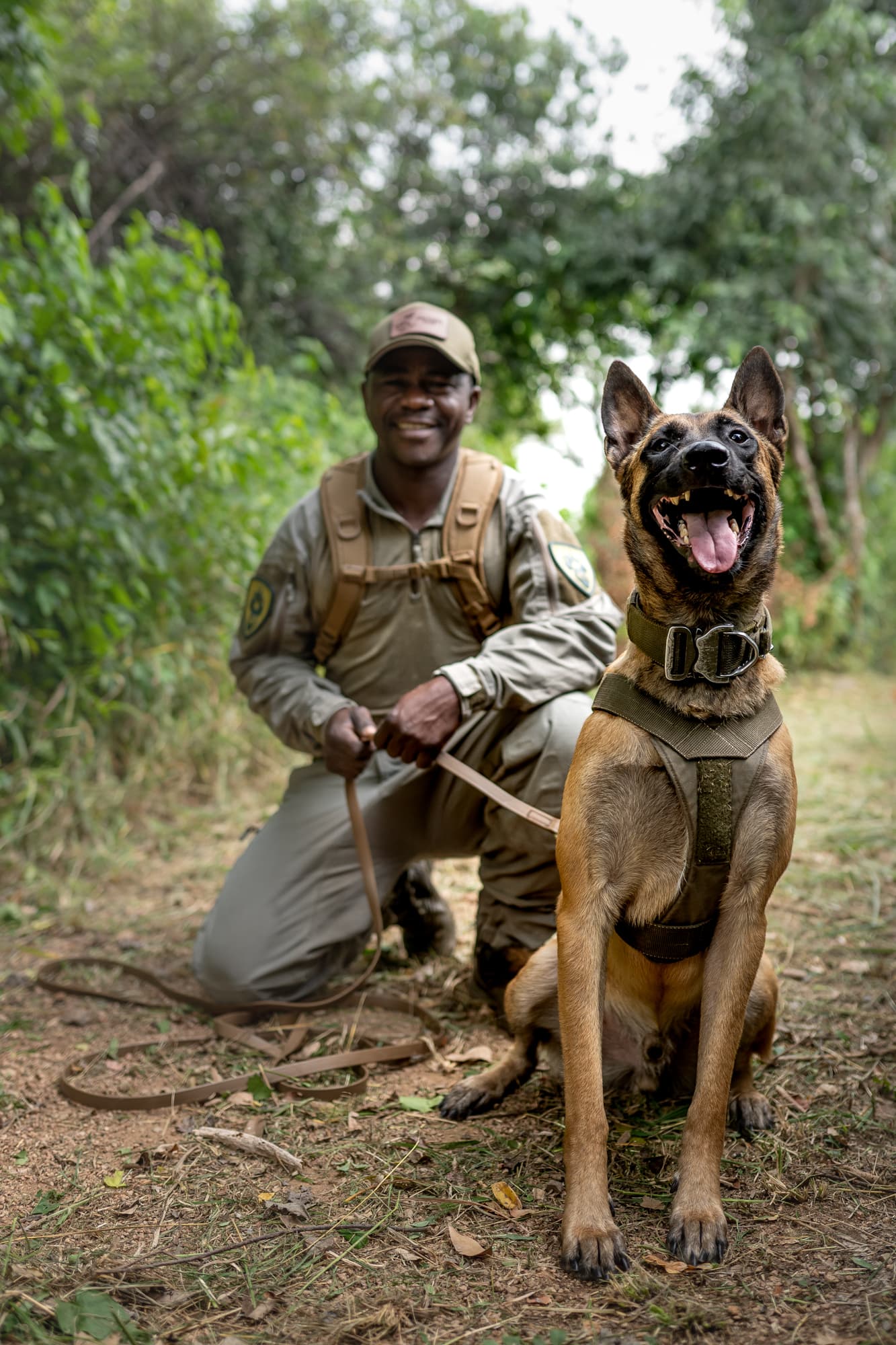 Antipoaching unit waiting on hilltop at sunset