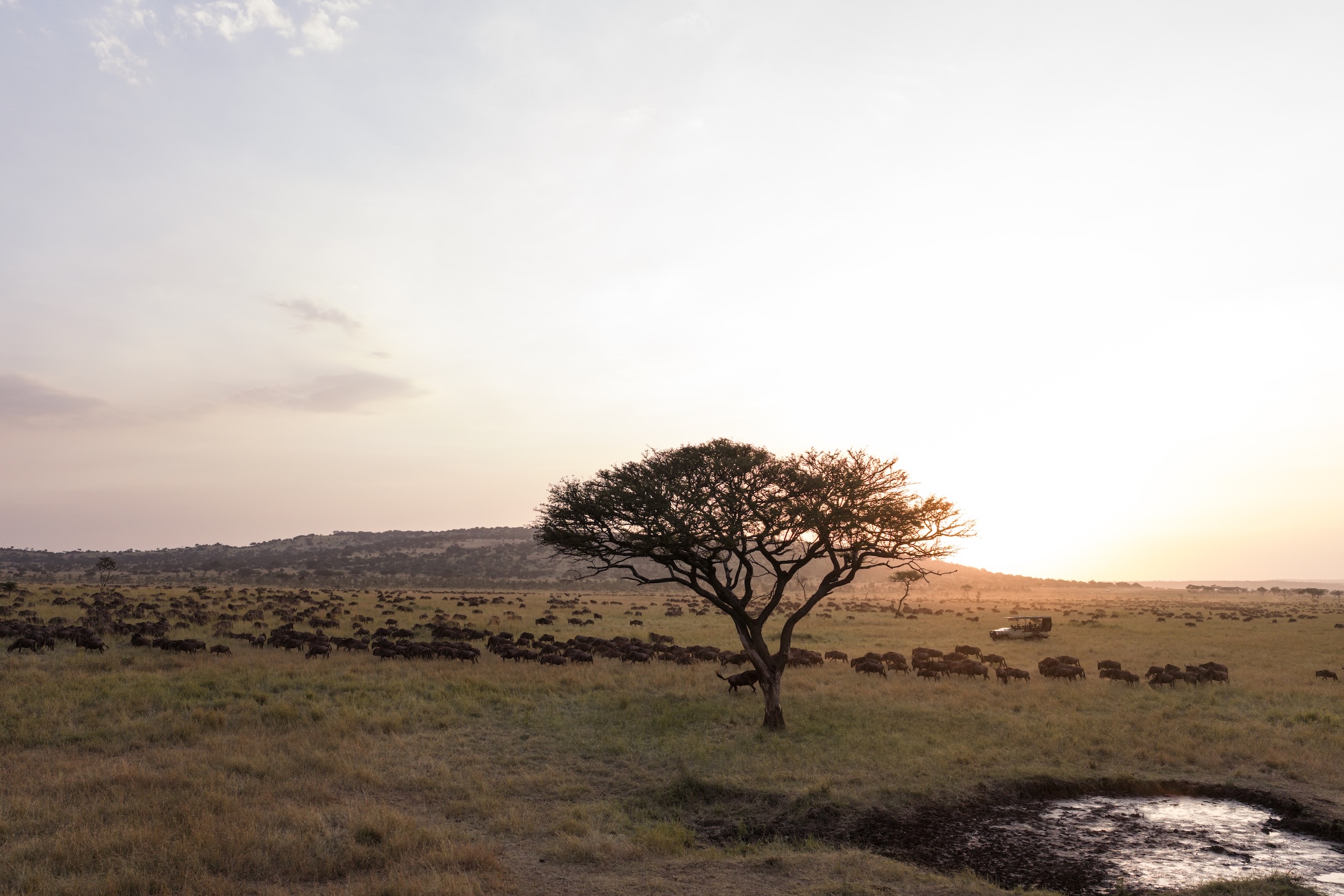 Witnessing change – how decades of dedication have transformed the Grumeti Reserve