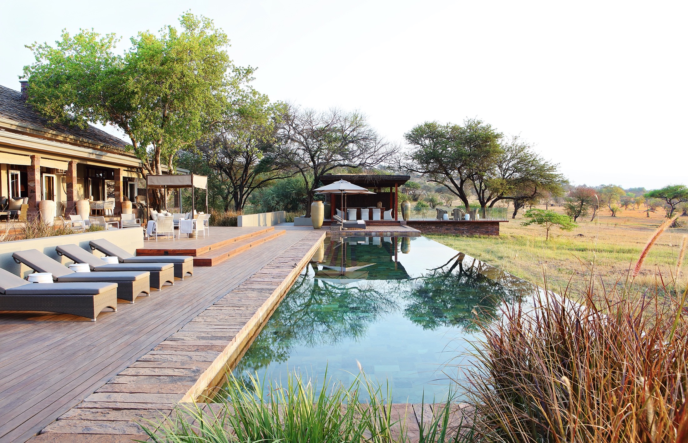 Serengeti House