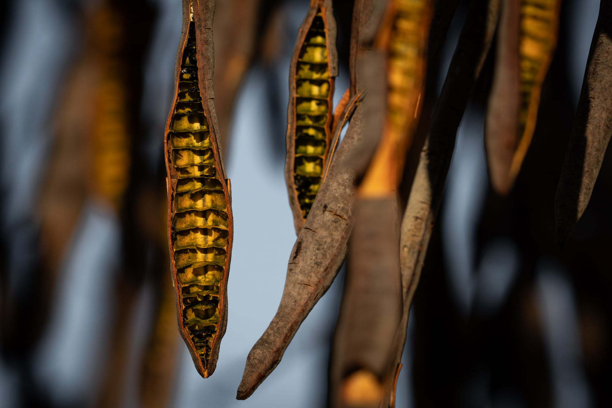 Living with the land – lessons from the past
