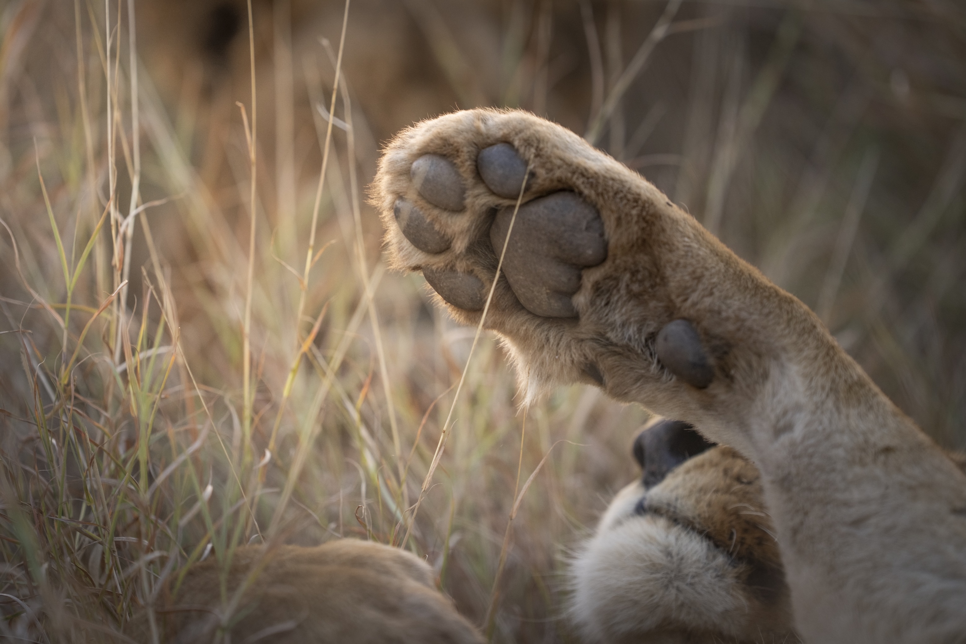 Going further, exploring wider – the magic of South Africa’s diverse landscapes